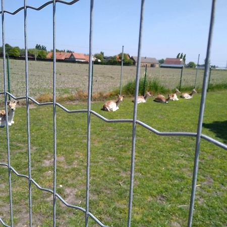 De Lekkermond Pensionat Diksmuide Exteriör bild