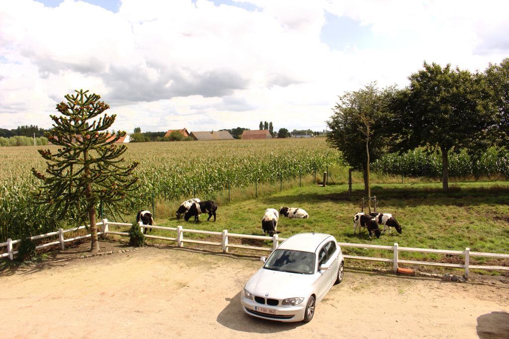 De Lekkermond Pensionat Diksmuide Rum bild