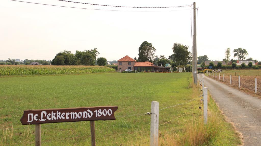 De Lekkermond Pensionat Diksmuide Exteriör bild