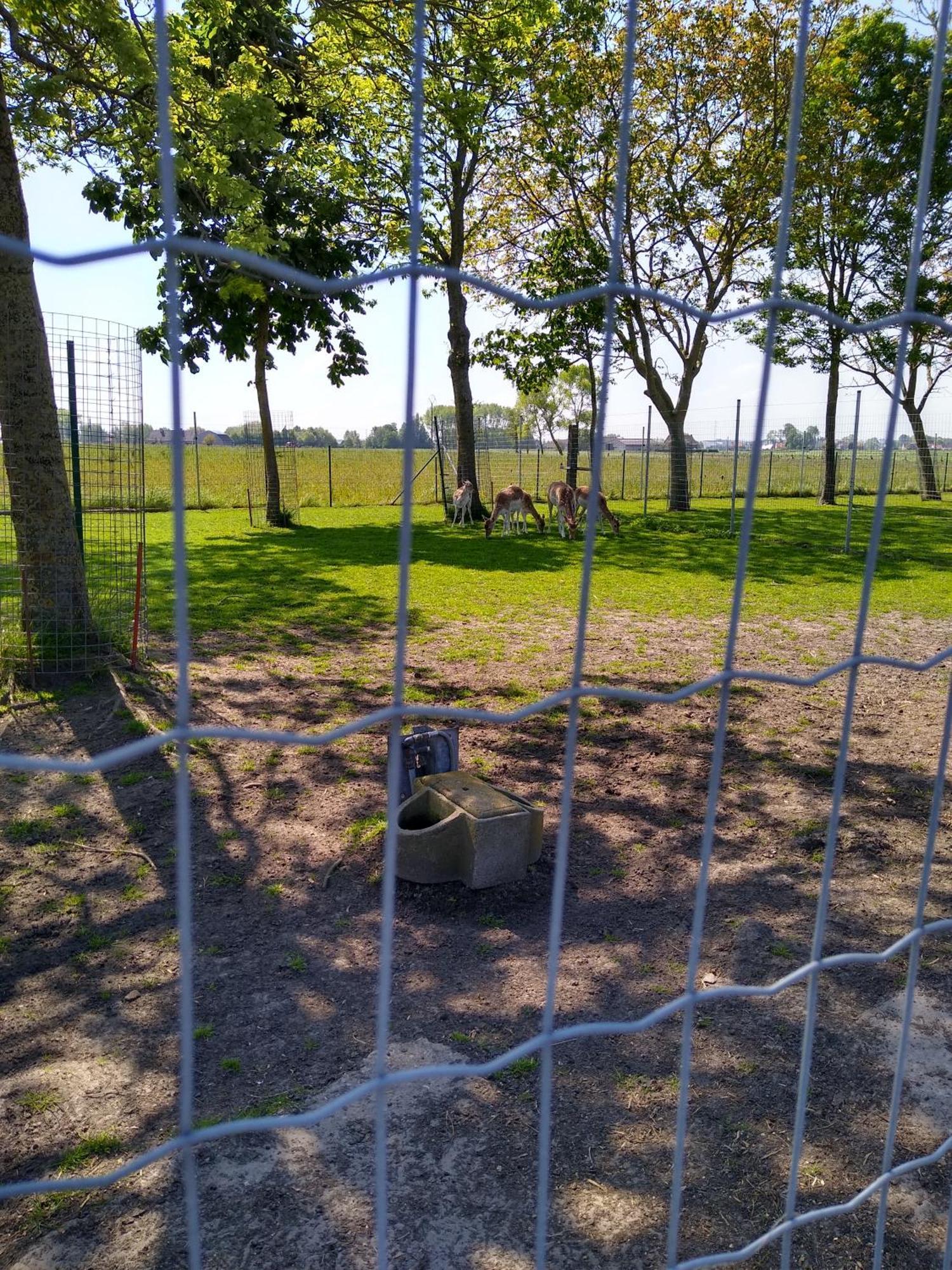 De Lekkermond Pensionat Diksmuide Exteriör bild