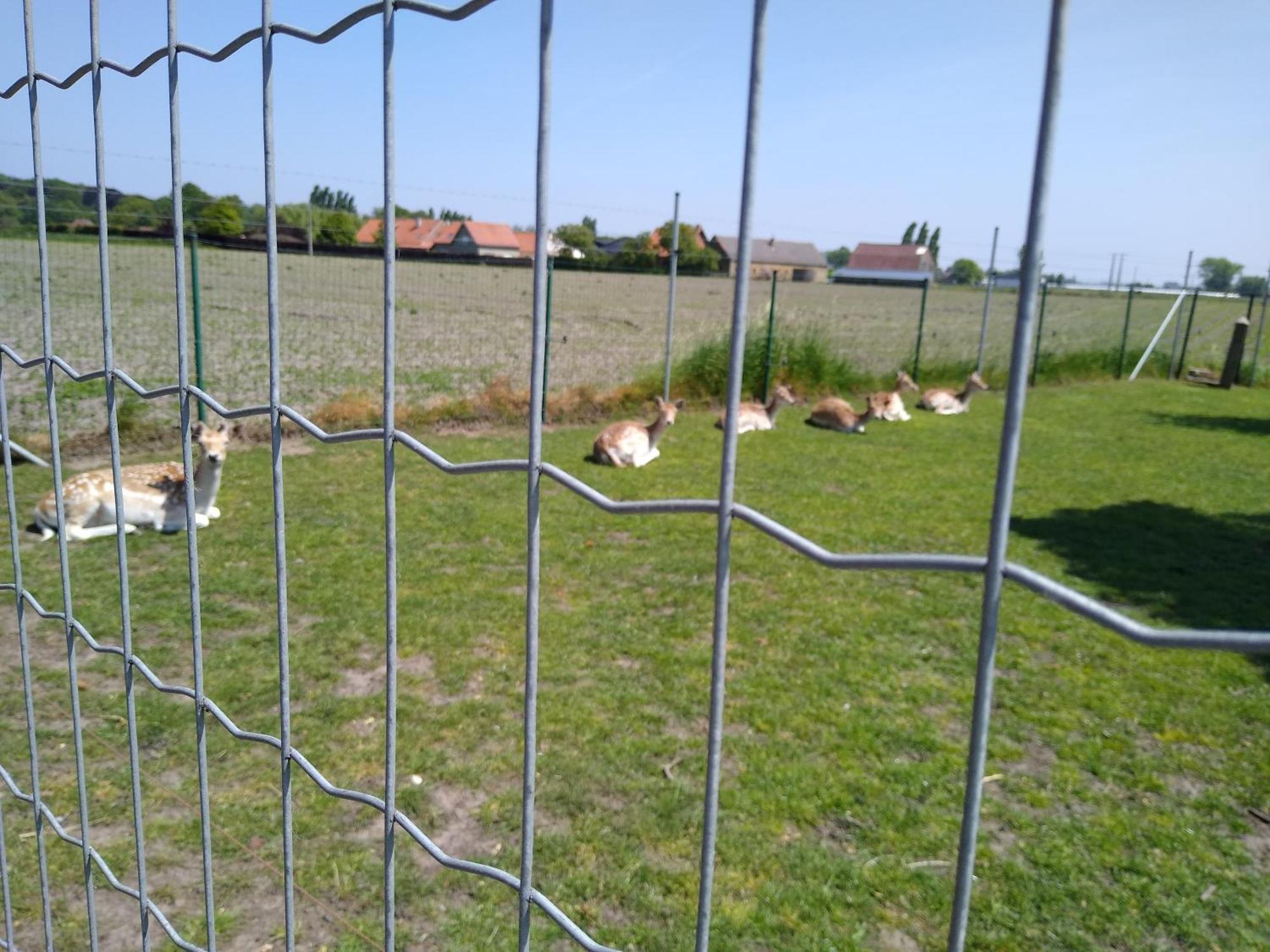 De Lekkermond Pensionat Diksmuide Exteriör bild